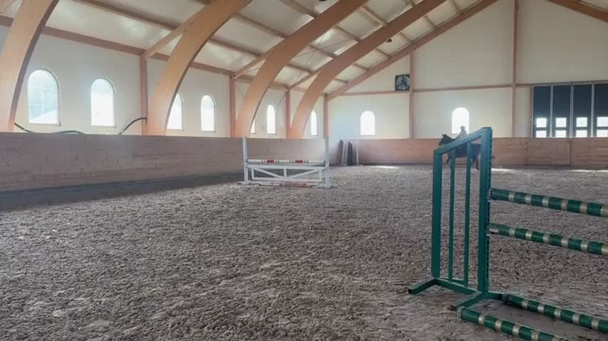 Hoppning hästar till salu: Liten storhäst till children junior  - Video 1