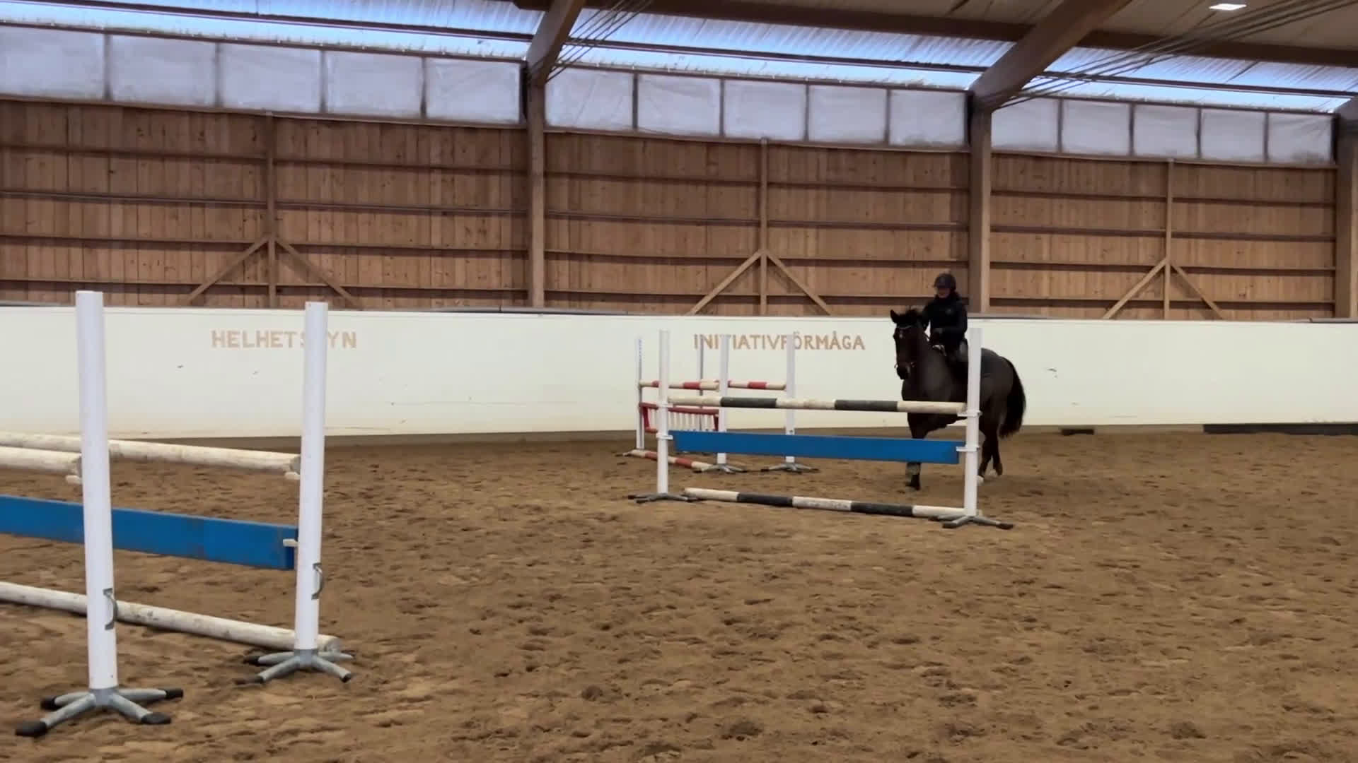 Hoppning hästar till salu: Trevligt sto född 2013 - Video 1