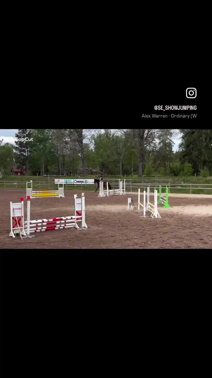 Hoppning hästar till salu: Fantastisk trevlig hoppvalack, ny film igen! - Video 4