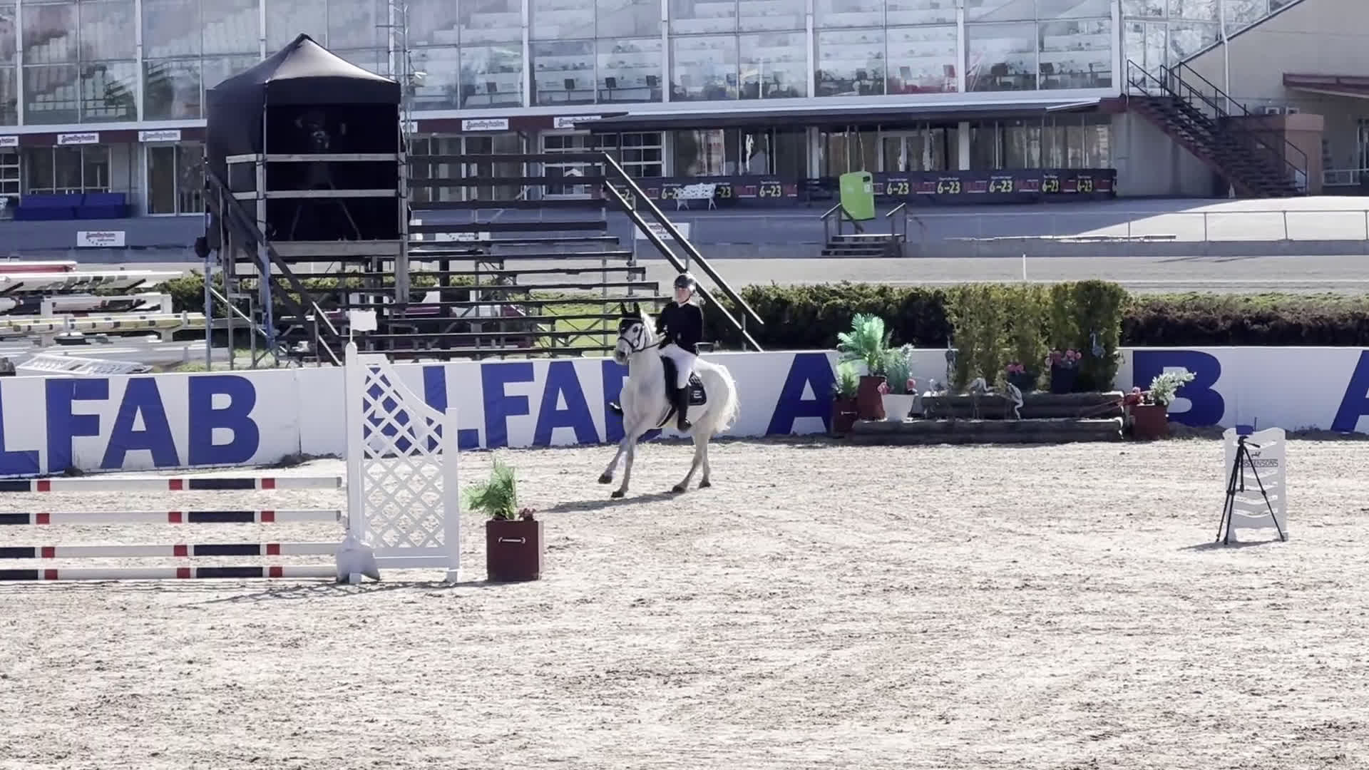 Hoppning hästar till salu: En riktig rosett plockare i lägre klasser i Norra Sorunda - Video 2