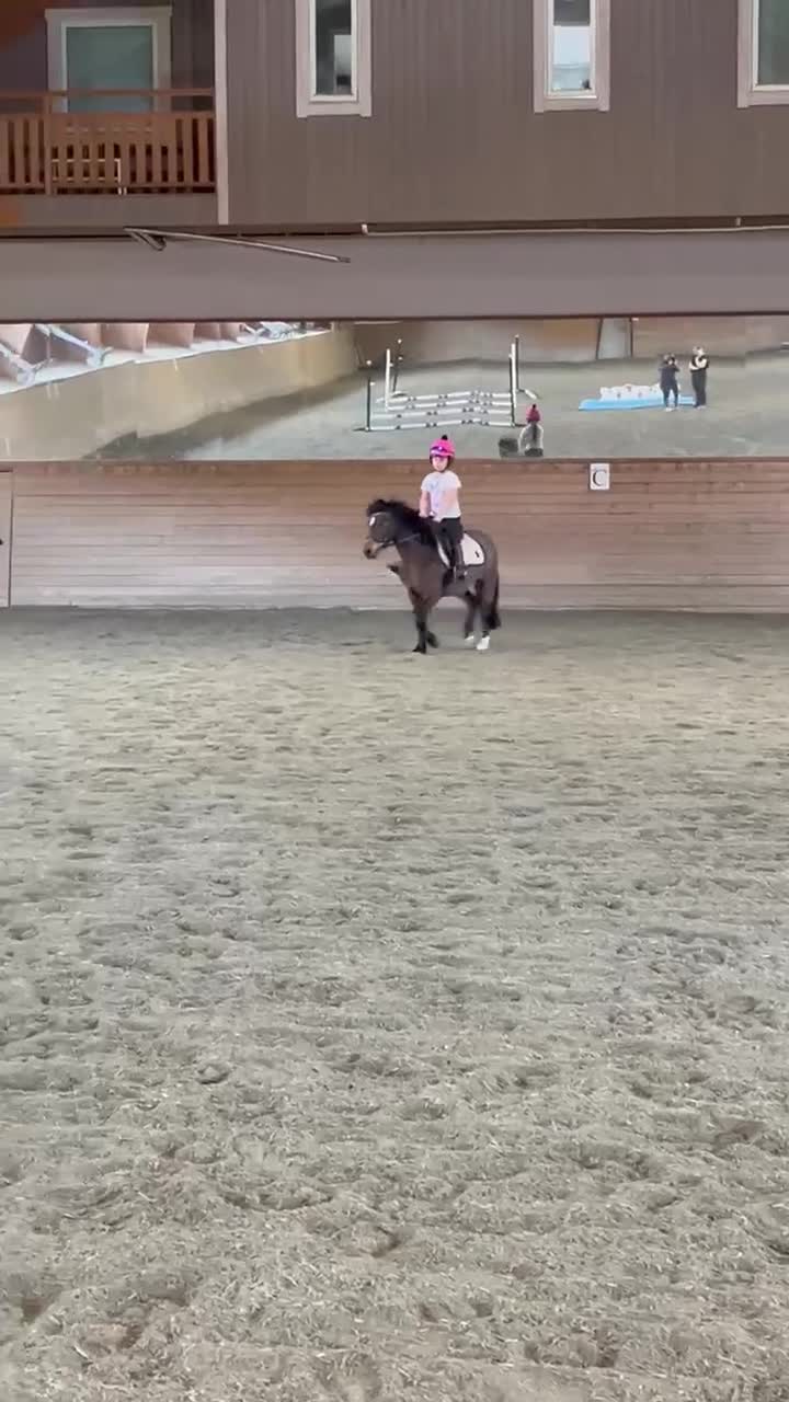 Övrigt hästar till salu: Sötaste B-ponny flickan till salu.  - Video 2