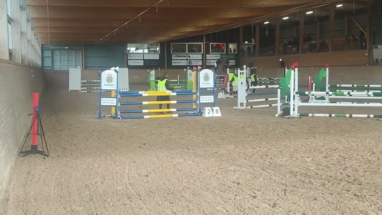 Allround hästar till salu: Vackert sto  - Video 1