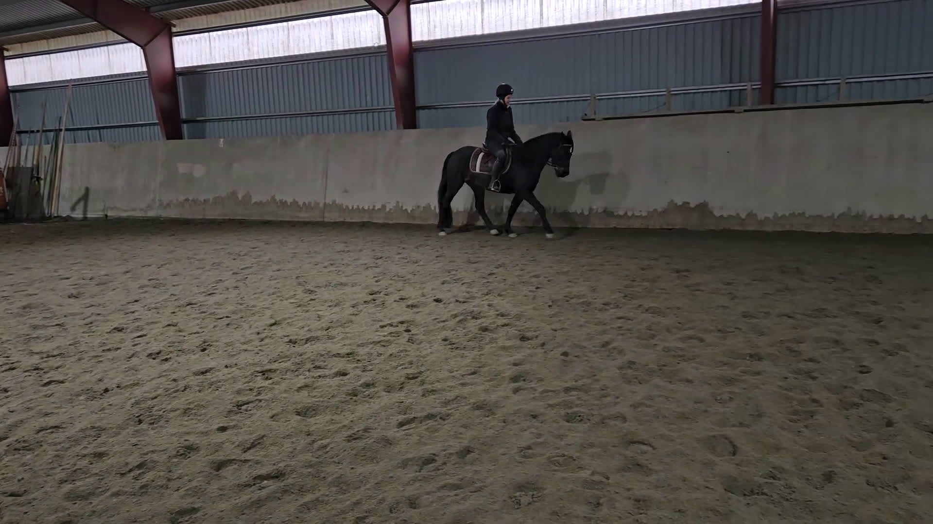 Allround hästar till salu: Läromästare, mor/dotter ponny - Video 2