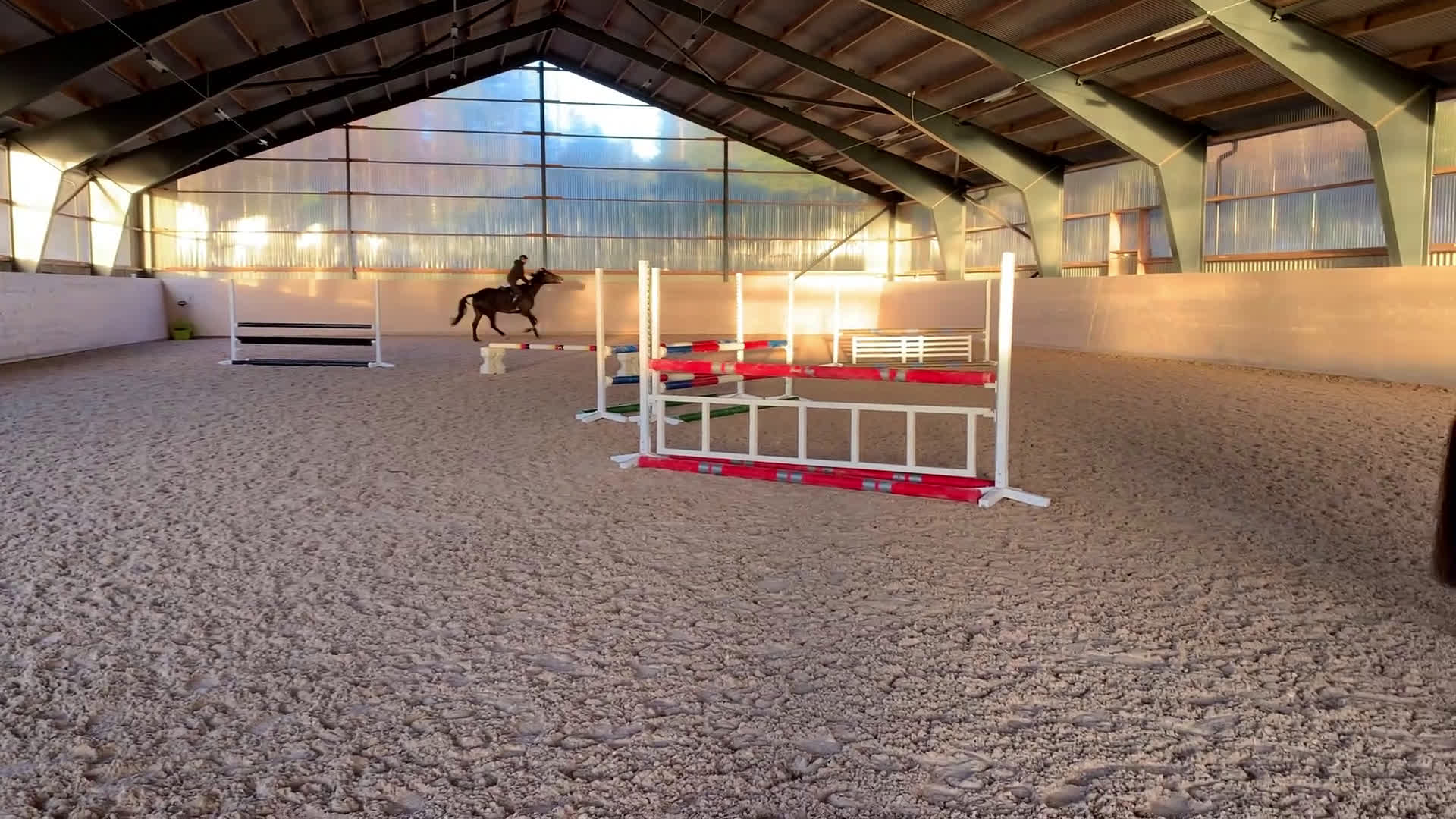 Hoppning hästar till salu: Hopphäst i Örby - Video 1