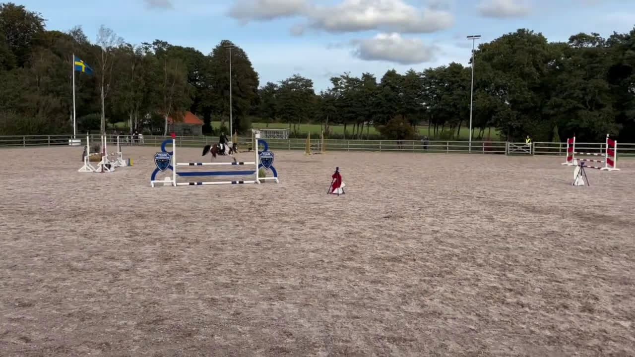 Hoppning hästar till salu: Maxad c-ponny med stor personlighet! - Video 2