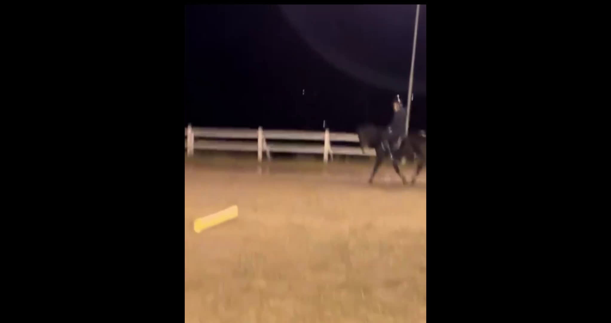 Allround hästar till salu: Charmig familjeponny söker kärleksfullt hem - Video 2