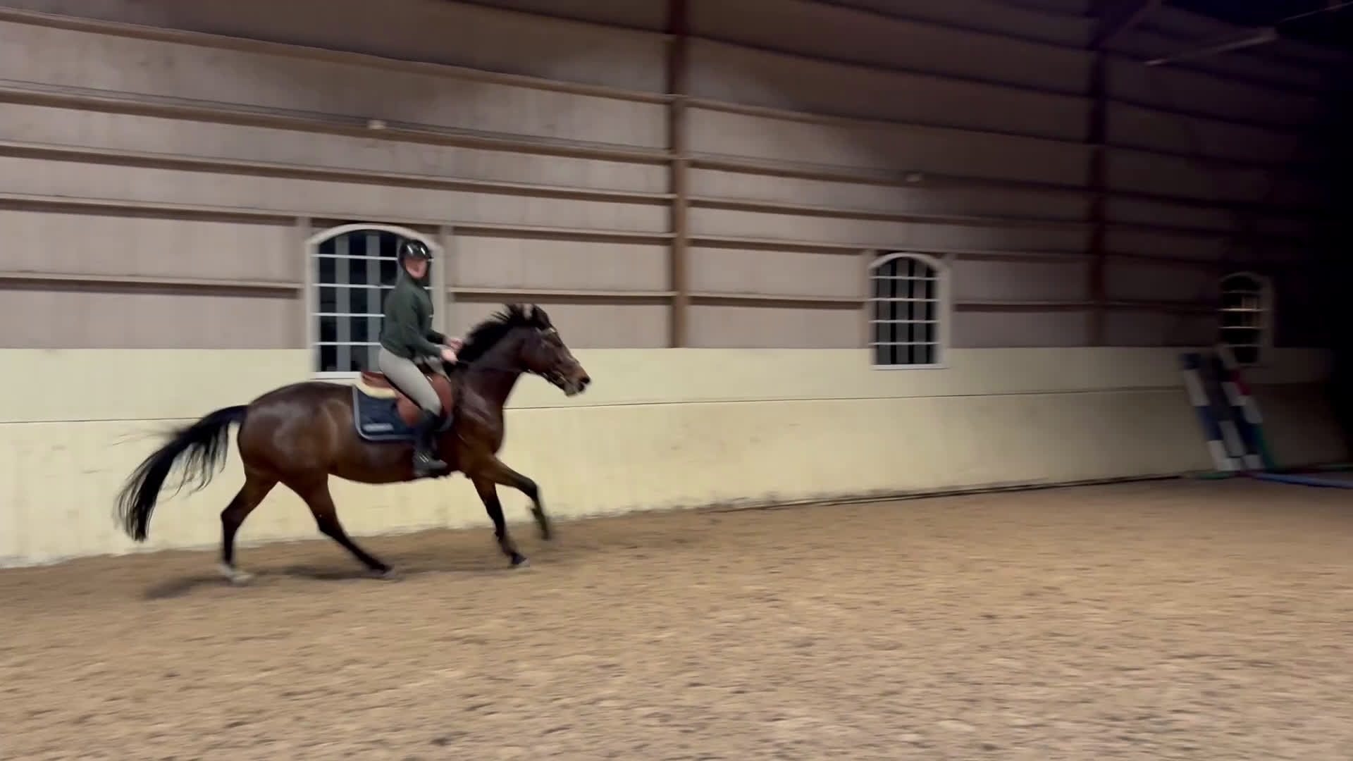 Hoppning hästar till salu: Sto med bra hoppkvalitet  - Video 2