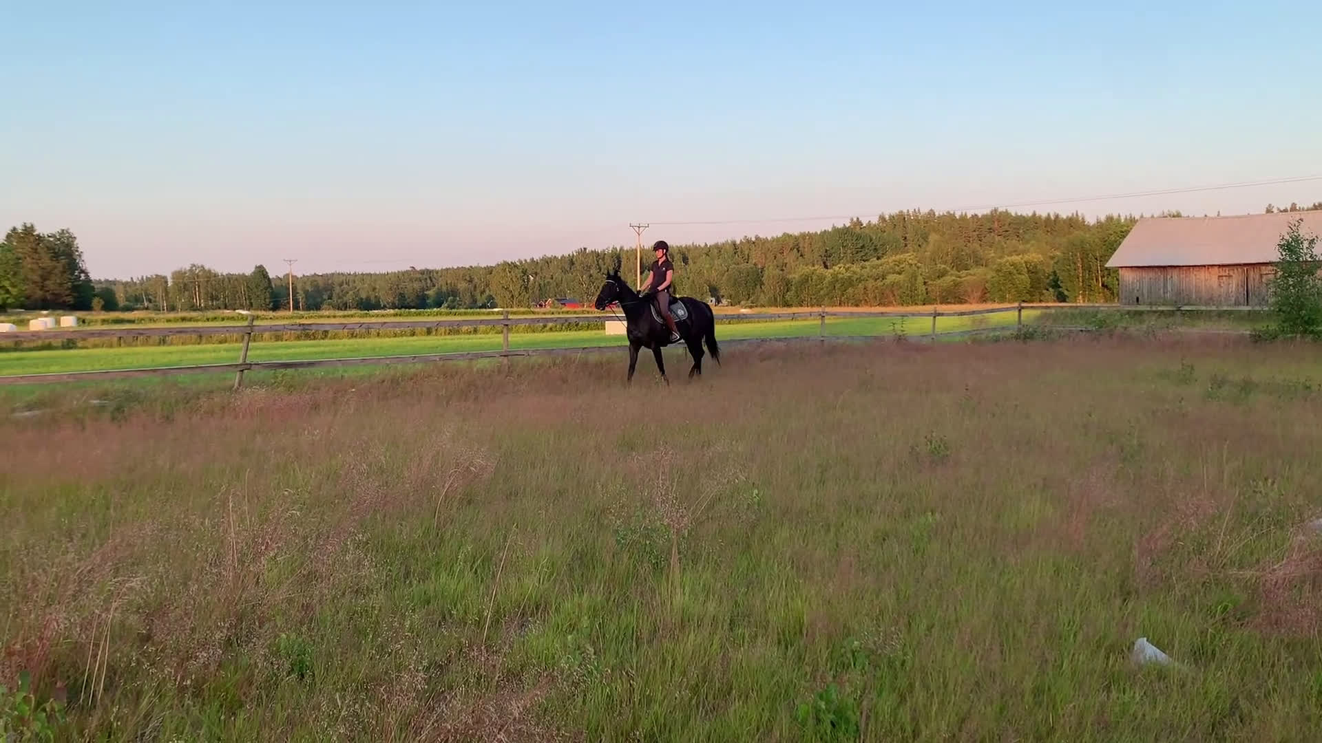 Allround hästar till salu: Vackert sto *TINGAD* - Video 1