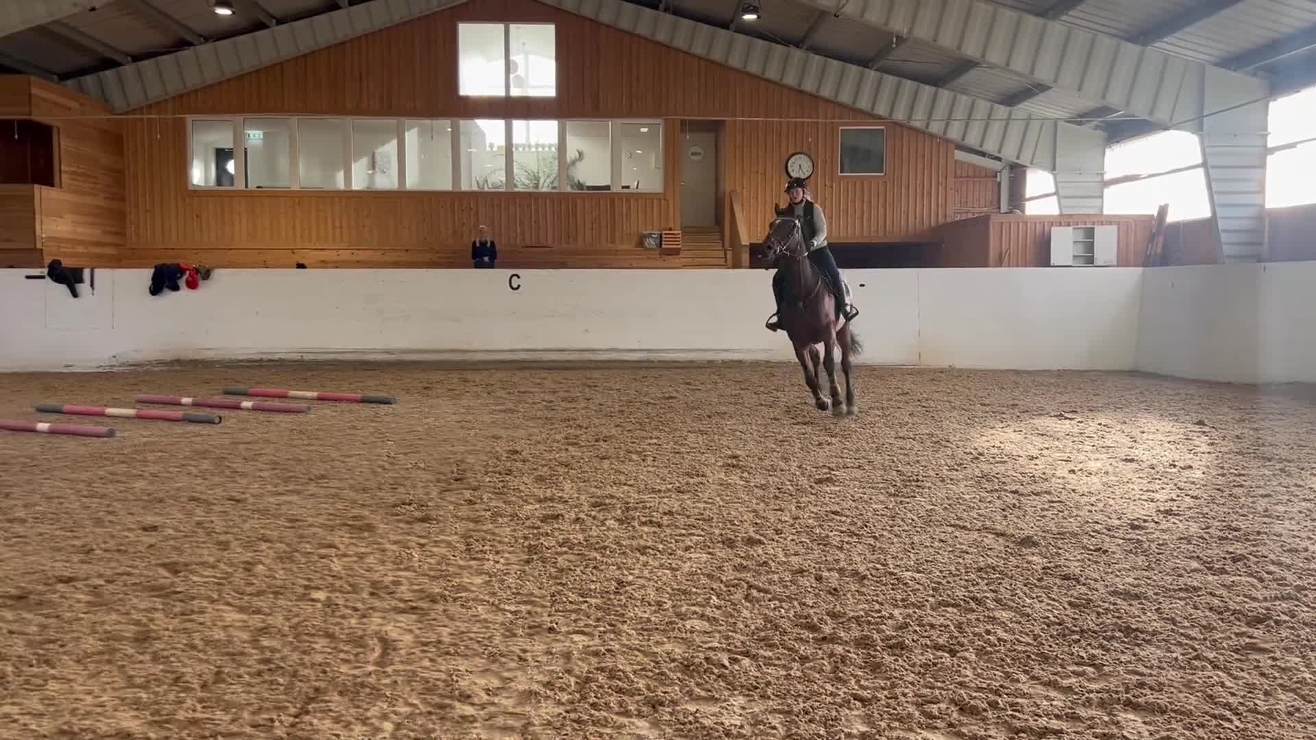 Allround hästar till salu: Trevlig Valack - Video 1