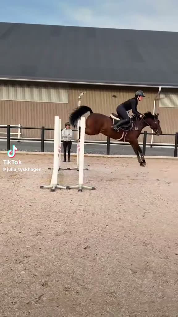 Hoppning hästar till salu: Trevlig svensk ridponny - Video 2