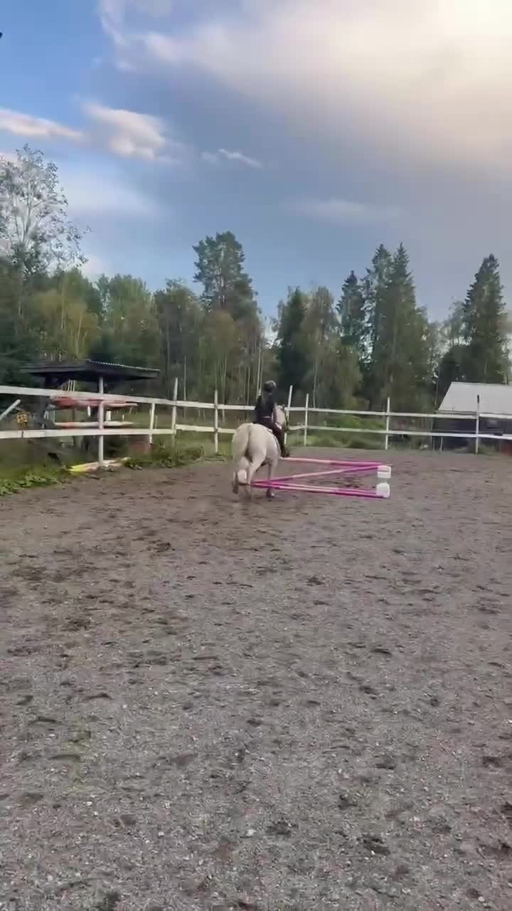 Allround hästar till salu: Maxad B-ponny - Video 1