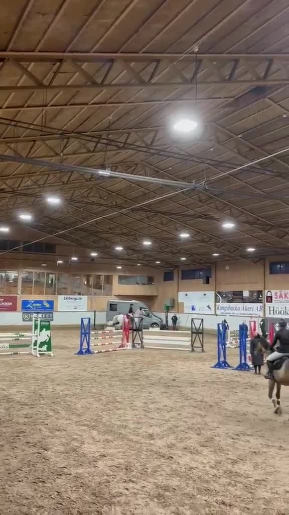 Allround hästar till salu: Trevlig läromästare! i Örby - Video 1
