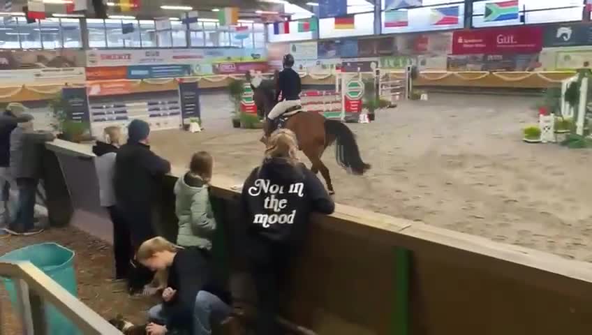 Allround hästar till salu: Fälttävlansämne - Video 4