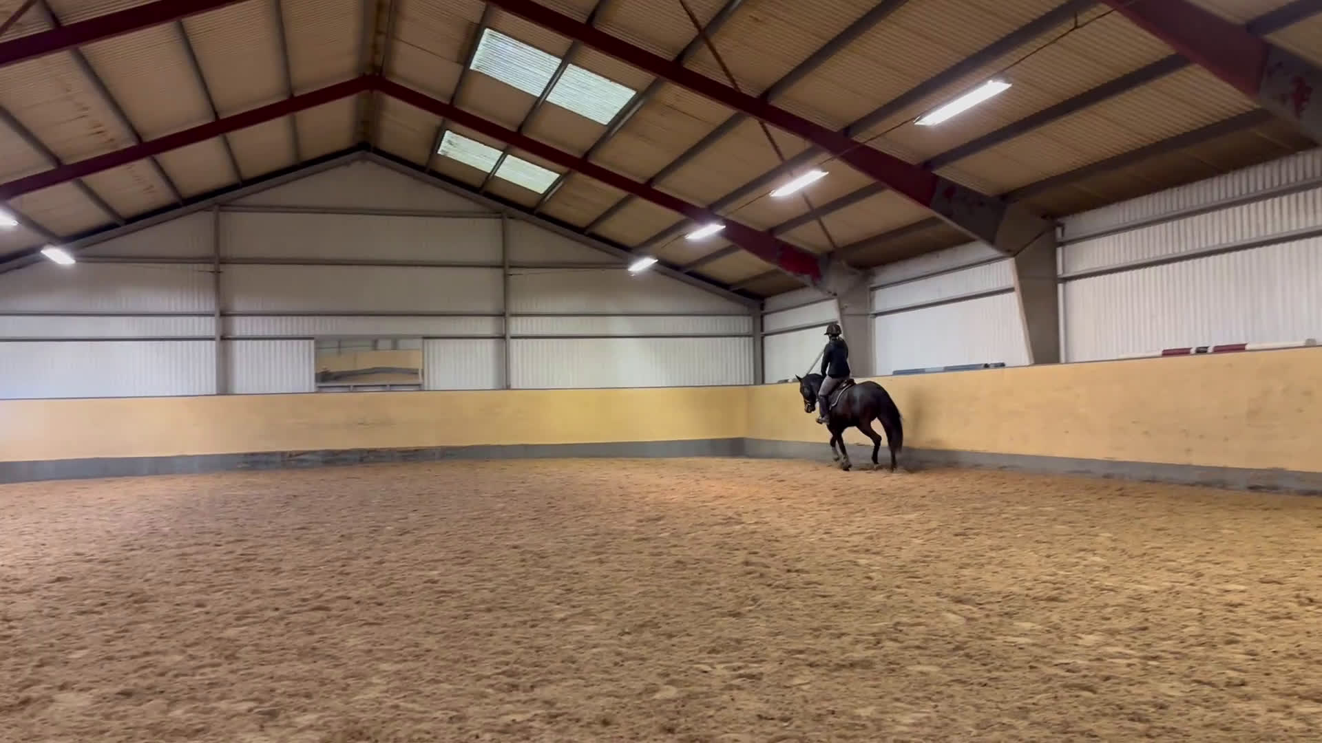 Allround hästar till salu: Läcker valack  i Vellinge - Video 1