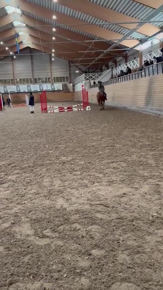  foderhäst sökes: Söker foderhäst🥰 i Täby - Video 1