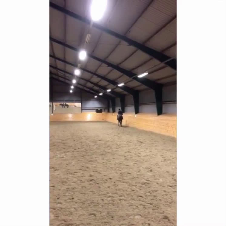 Allround hästar till salu: Glad kille med energi  i Kungälv - Video 1