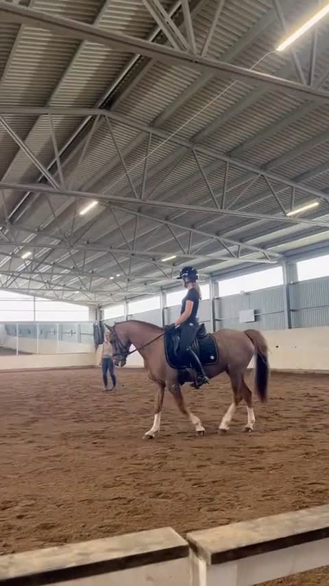 Allround hästar till salu: Charmig C-ponny söker nytt hem. - Video 4