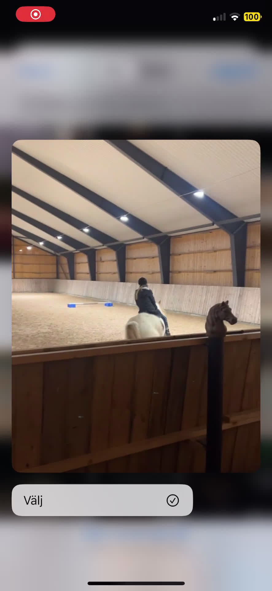  medryttarhäst sökes: Söker medryttarhäst nära Järfälla!! i Järfälla - Video 3