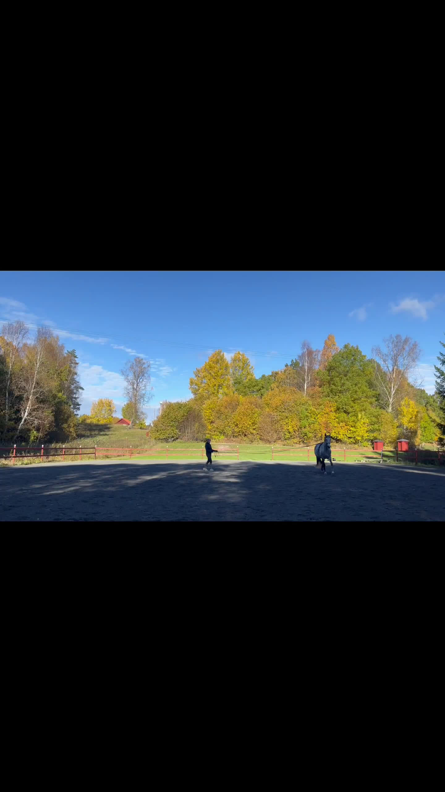 Dressyr hästar till salu: *nytt pris* väluppfostrat sto med energi i Nyköping - Video 3