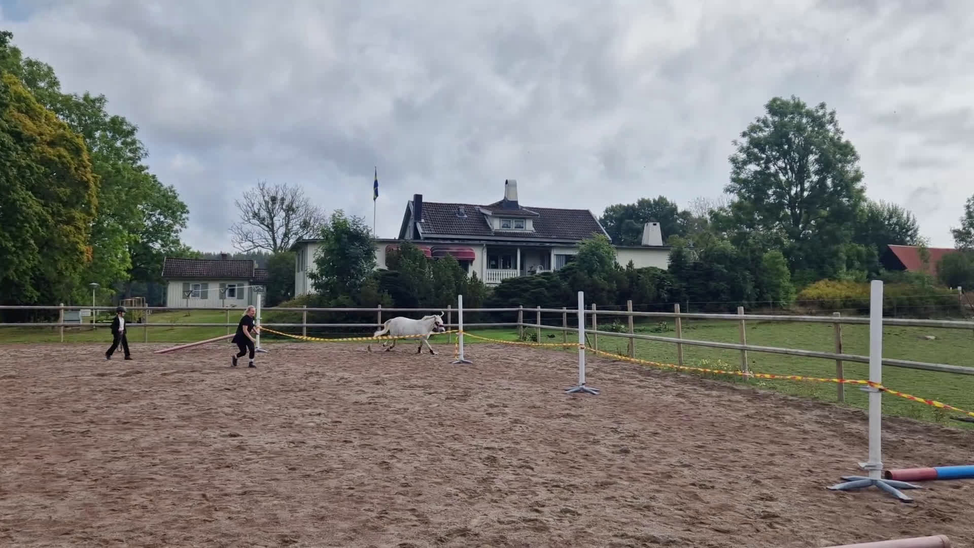 Allround hästar till salu: B ponny  i Åmål - Video 2