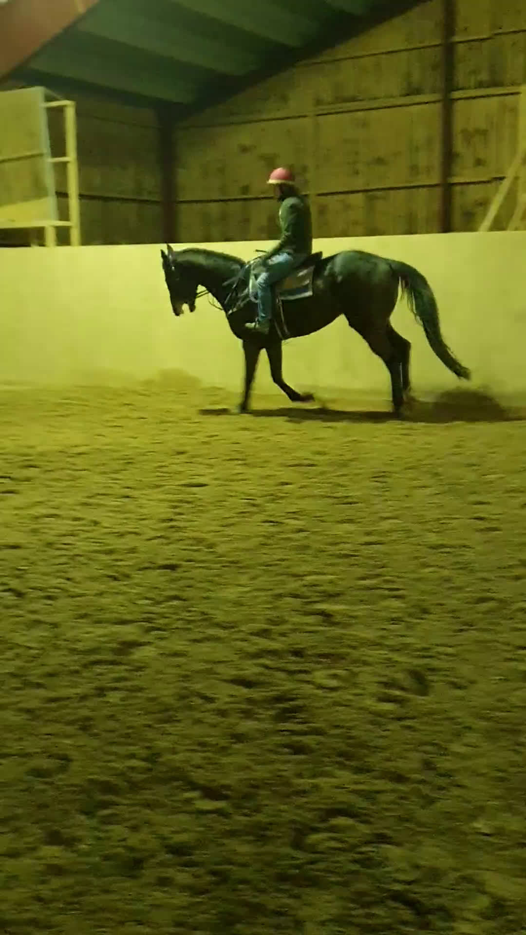 Allround hästar till salu: Snäll fullblodsvalack i Rimbo - Video 3