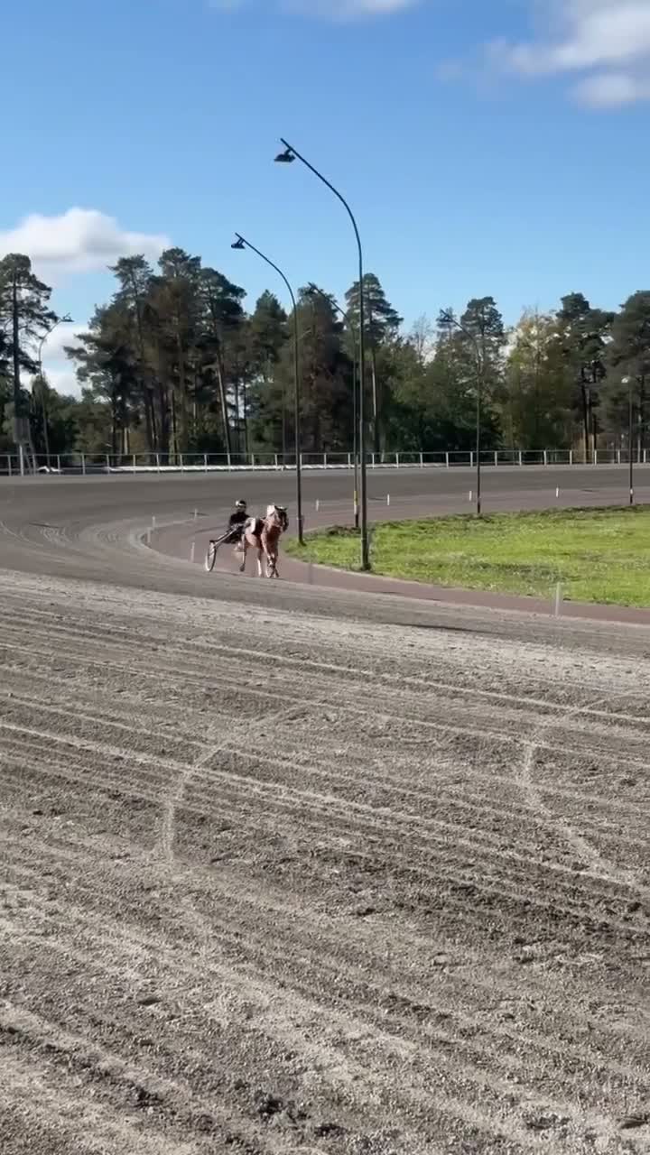 Trav hästar till salu: Ponny med utvecklingspotential i Rättvik - Video 1