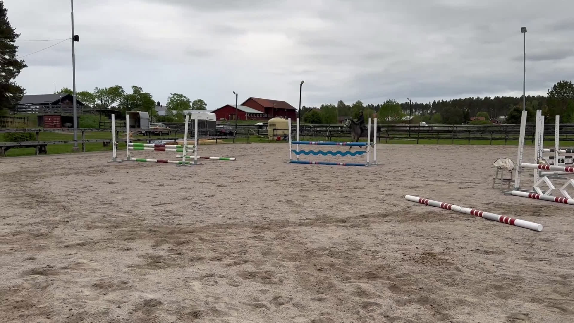 Allround hästar till salu: Hoppstammat sto med bra gångarter! - Video 2