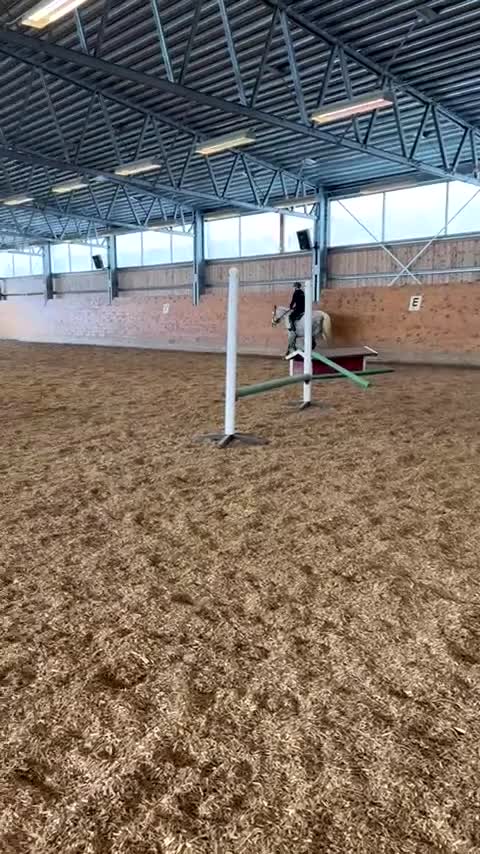  hästjobb finnes: Stalljobb sökes fr.o.m september! i Göteborg - Video 4