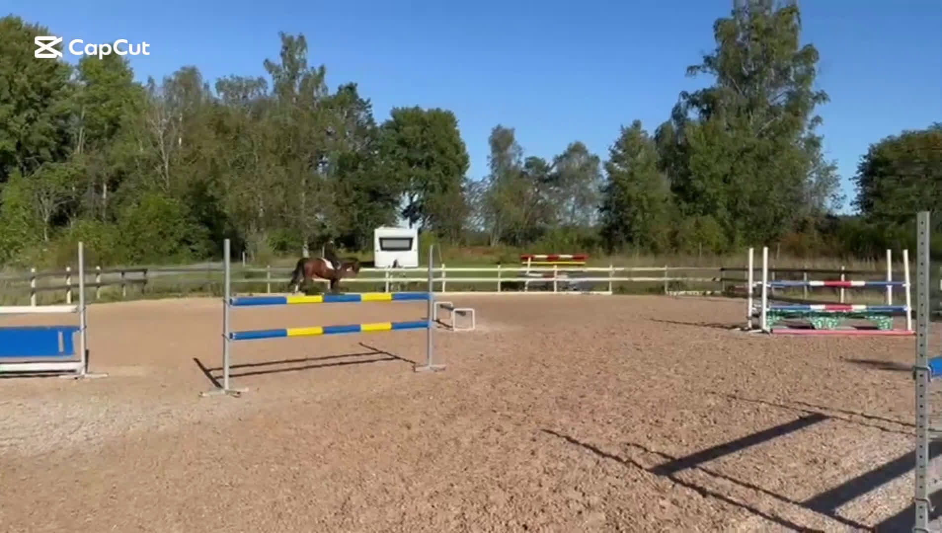 Hoppning hästar till salu: 10 årigt sto med plac 130- kapacitet för mer!  i Täby - Video 2