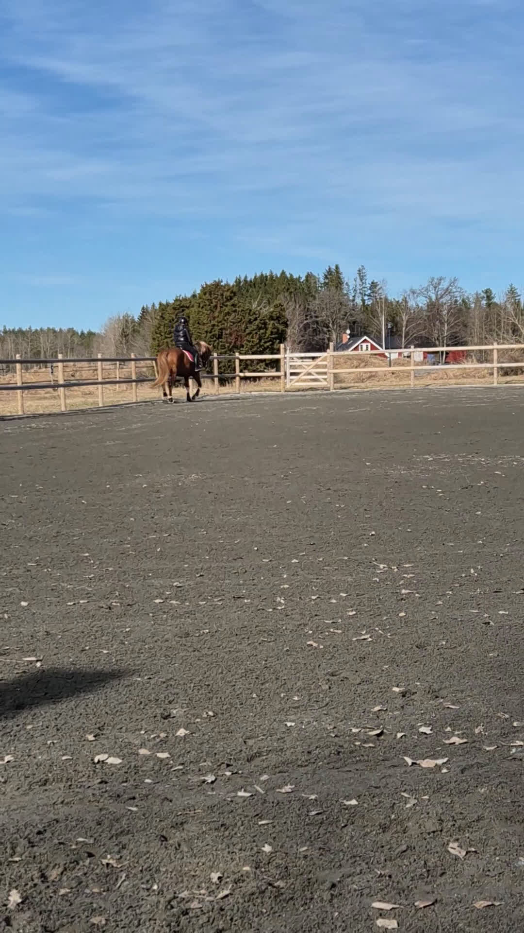  hästservice finnes: Söker duktig ryttare/utbildare till 9-årigt sto  - Video 2