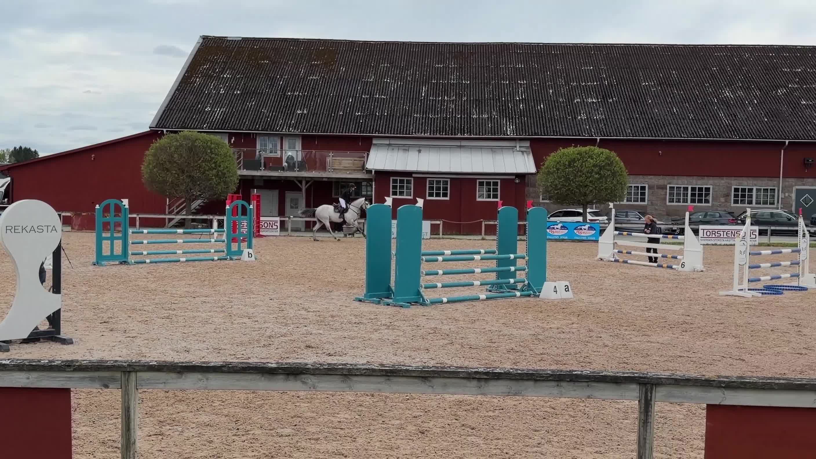 Hoppning hästar till salu: Gullig häst med mycket kapacitet - Video 1