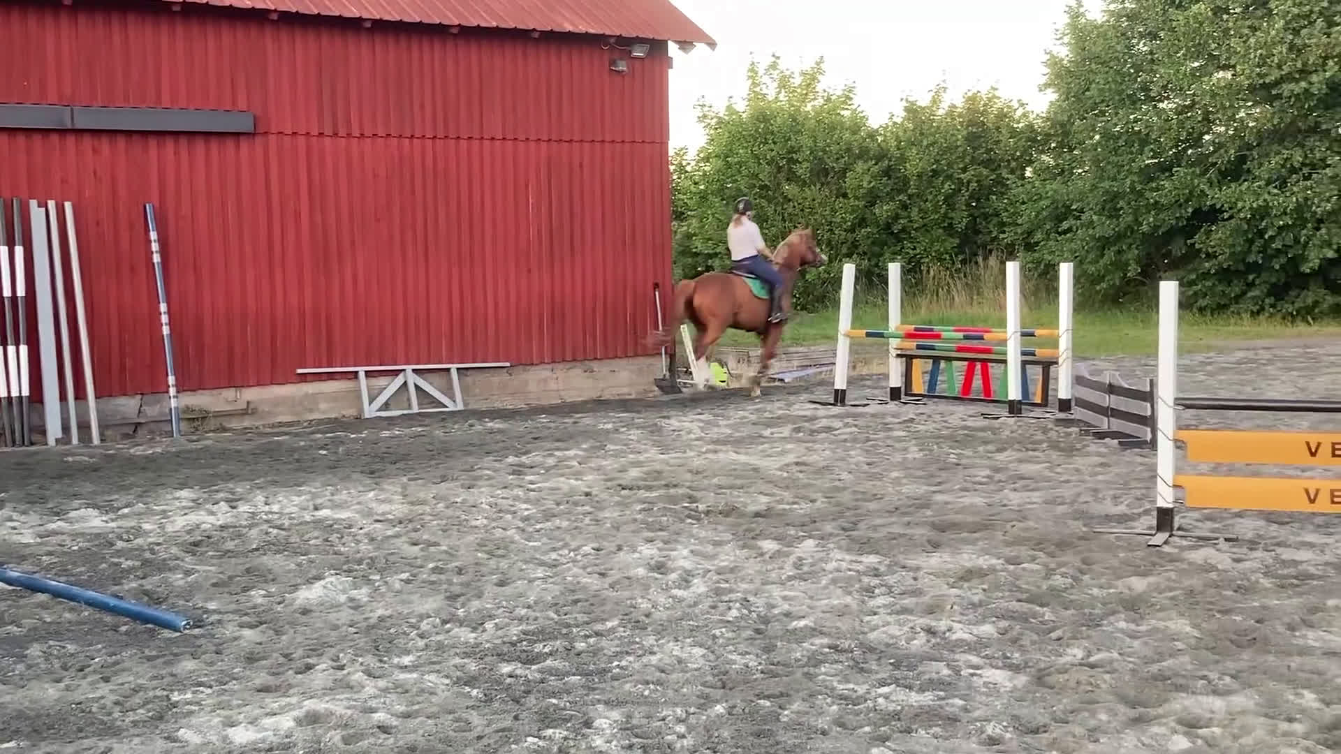 Allround hästar till salu: Trevlig valack  i Kristianstad - Video 2