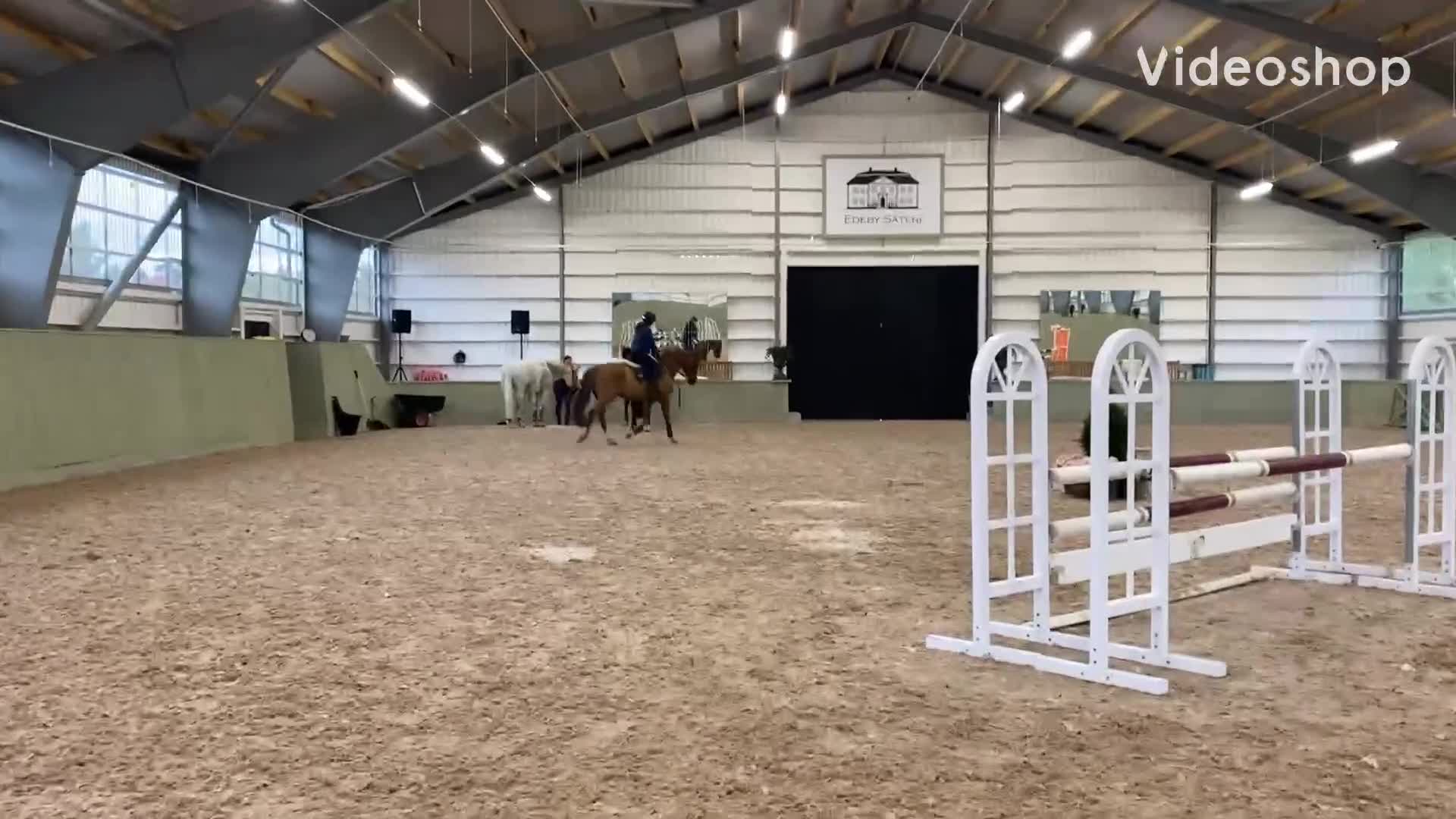 Hoppning hästar till salu: Modig och talangfull unghäst! i Södertälje - Video 1