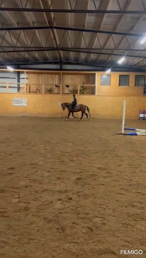 Hoppning hästar till salu: Fin 3åring! i Ingatorp - Video 1