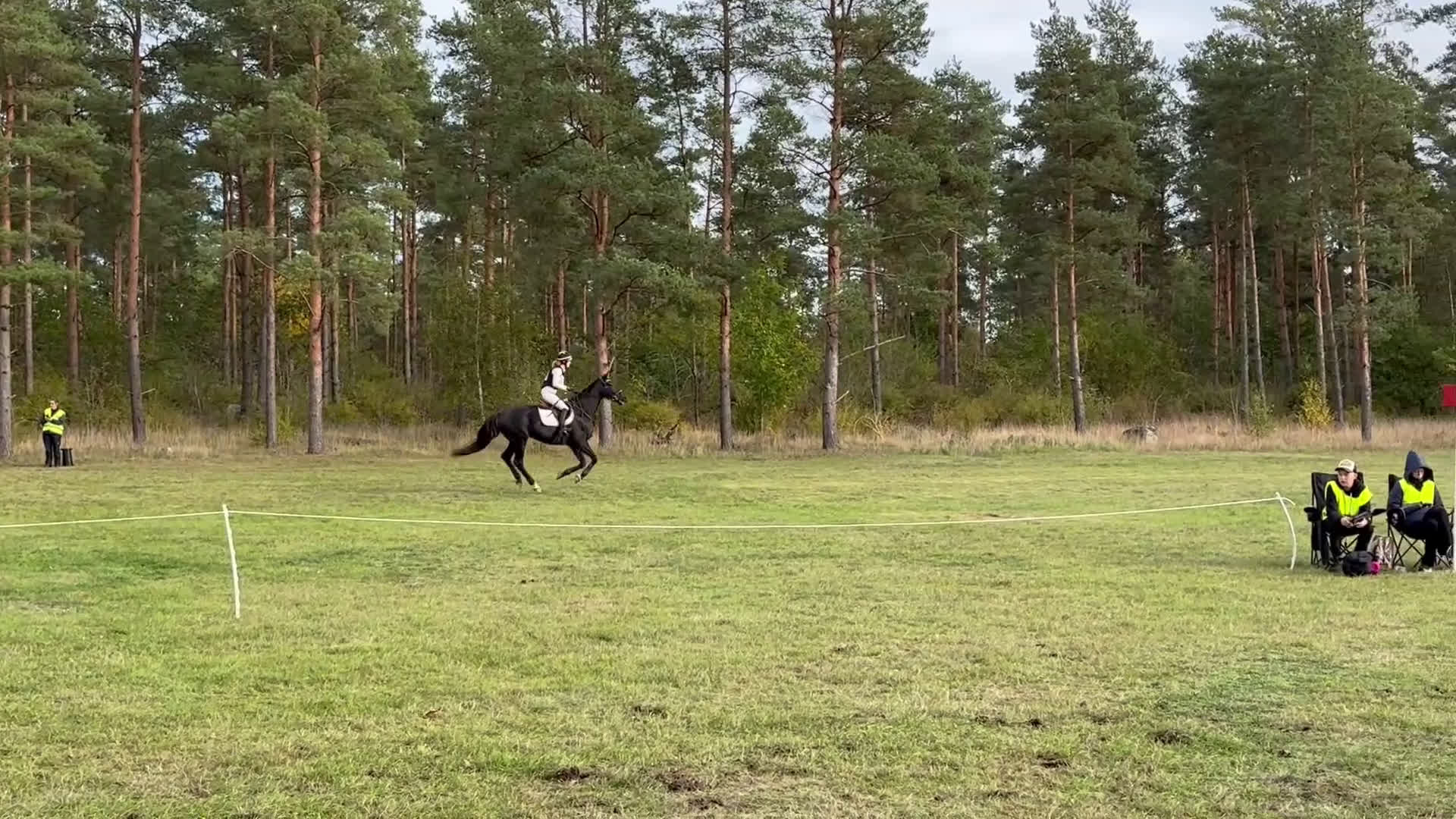 Fälttävlan hästar till salu: Drömhäst  i Skara - Video 1