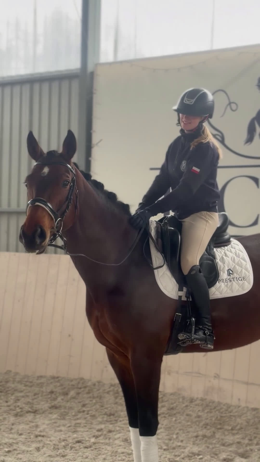 Hoppning hästar till salu: Professor horse! Jumping and dressage mare! i Ystad - Video 2
