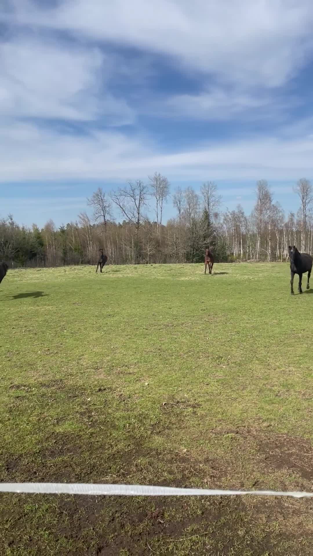  stallplats finnes: Lösdrift - Video 1