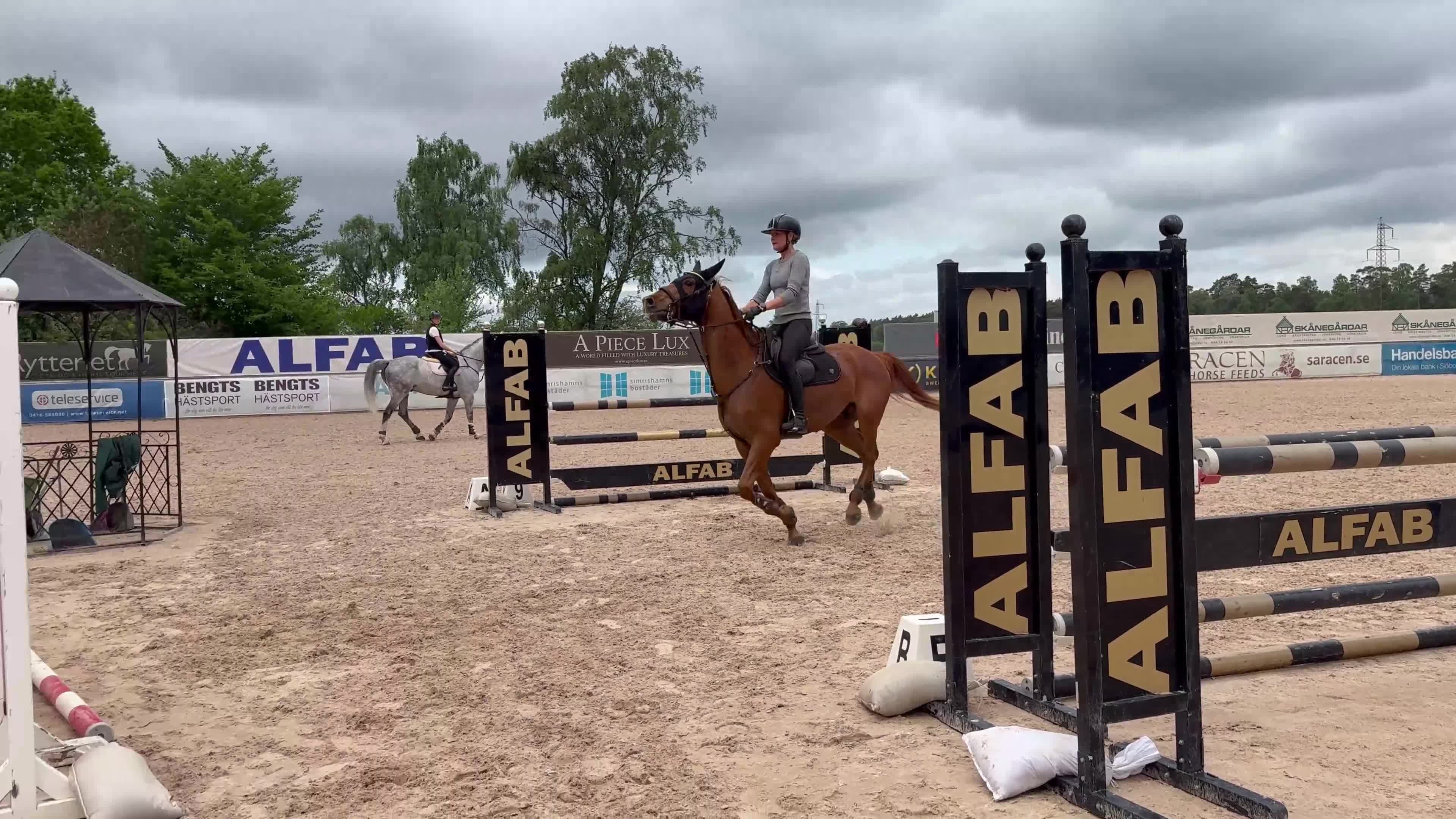 Hoppning hästar till salu: Spänstig 7 åring Arezzo - Callahan - Video 1