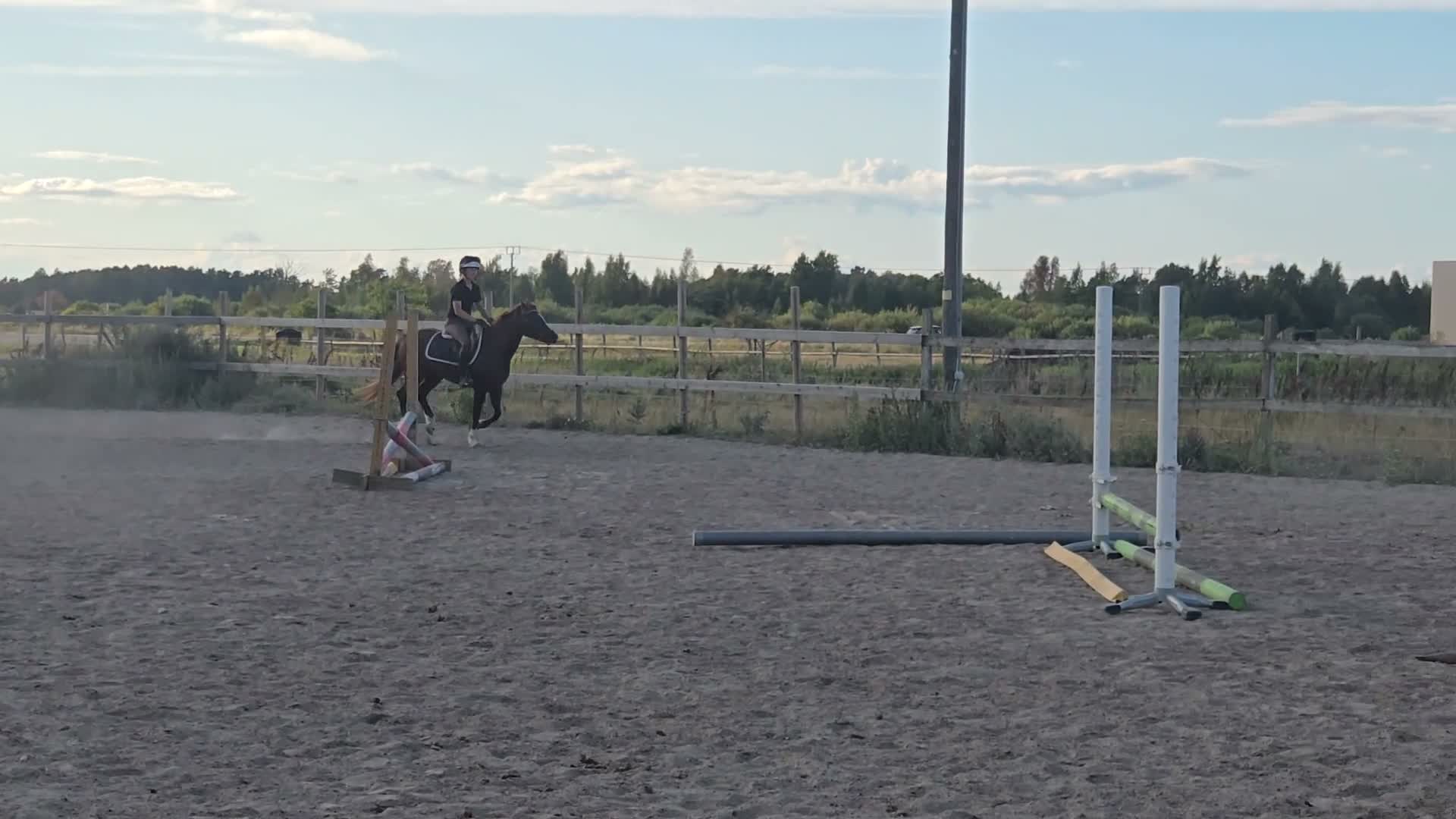 Allround hästar till salu: Trevligt sto med gångartsdiplom - Video 2