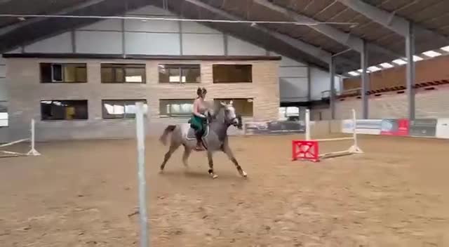 Allround hästar till salu: Rolig 5-åring  - Video 1