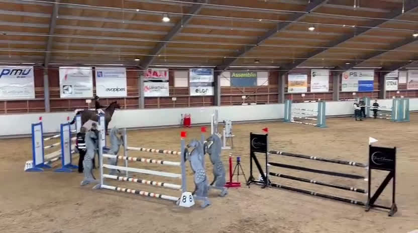 Hoppning hästar till salu: LG’s Bad Bunny  i Växjö - Video 2