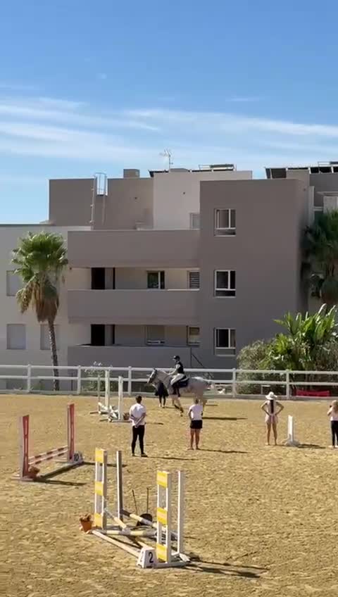Övrigt hästar till salu: Hela letar sitt nya hem ❤️  - Video 3