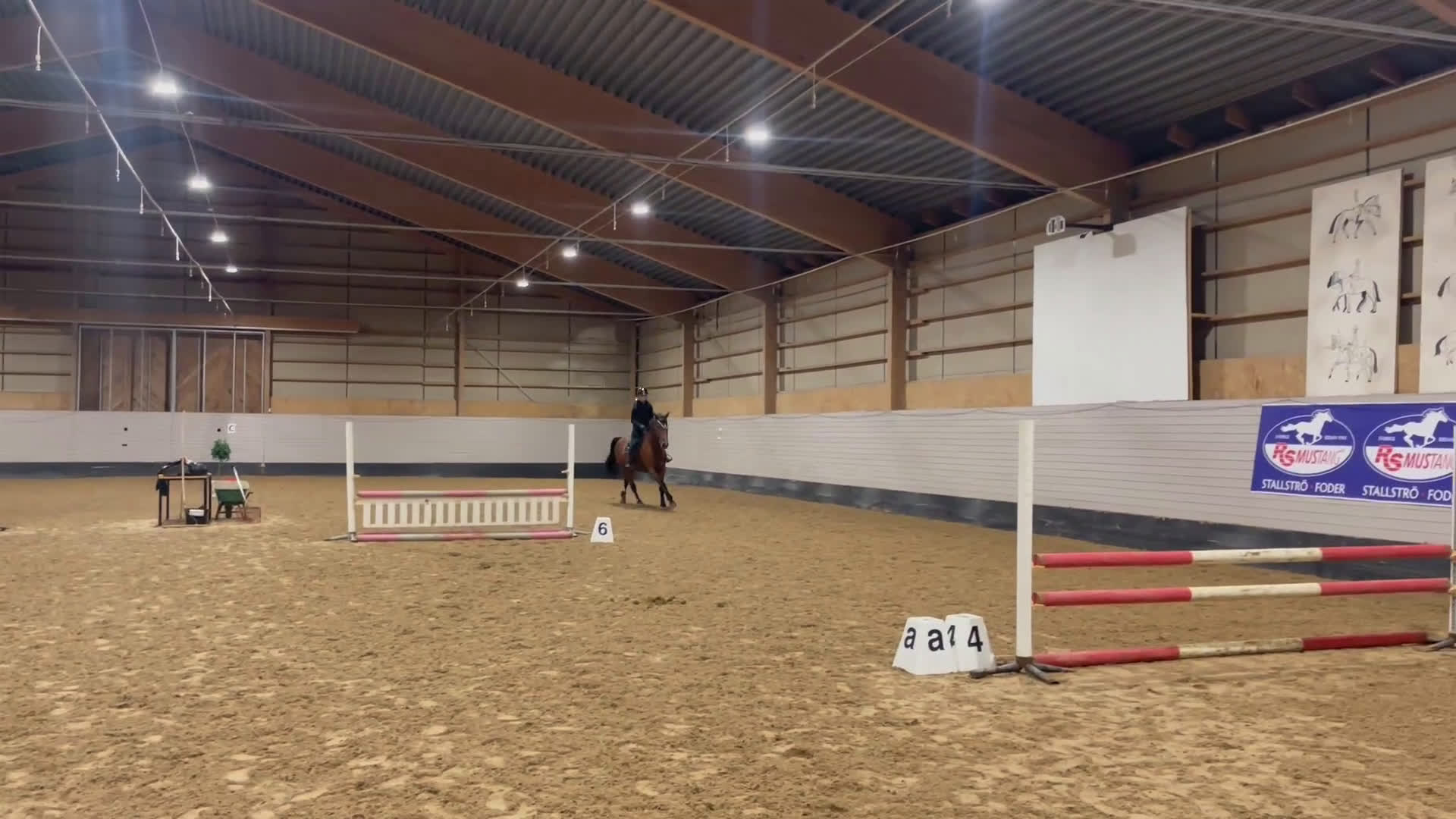 Hoppning hästar till salu: Världens tryggaste läromästare  i Östhammar - Video 2