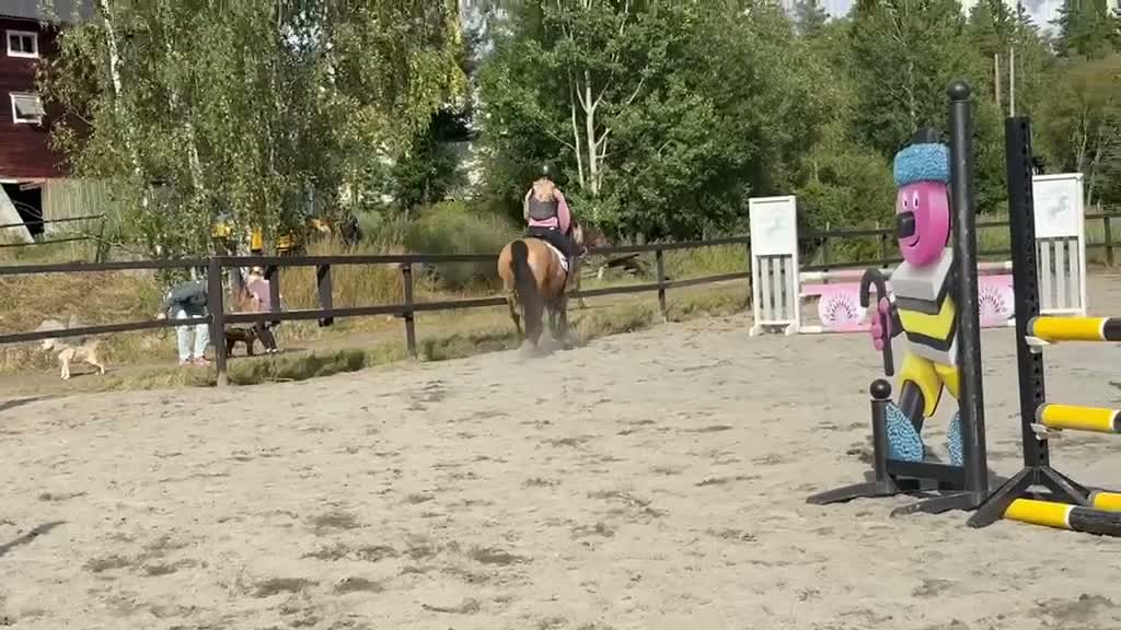 Hoppning hästar till salu: Lovande 5 åring D-Ponny - Video 1