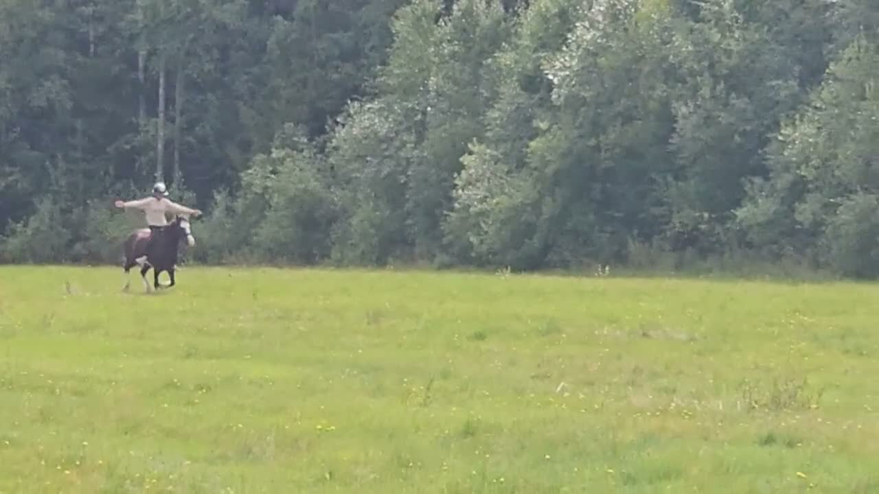 Hoppning hästar till salu: Fin B-ponny i Sävar - Video 5