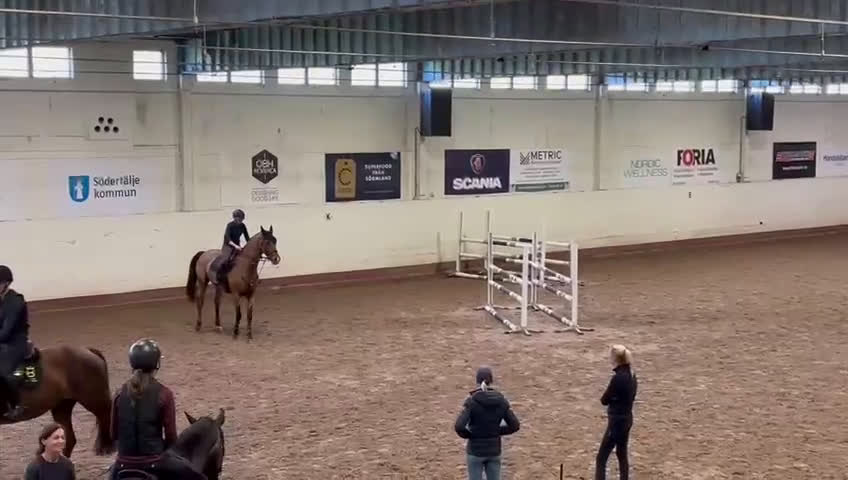 Hoppning hästar till salu: Svår häst med fint hjärta ♥️  i Ösmo - Video 1