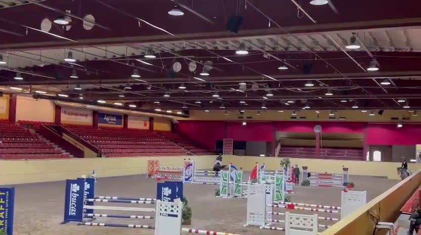 Hoppning hästar till salu: Lovande 5 åring i Blentarp - Video 3