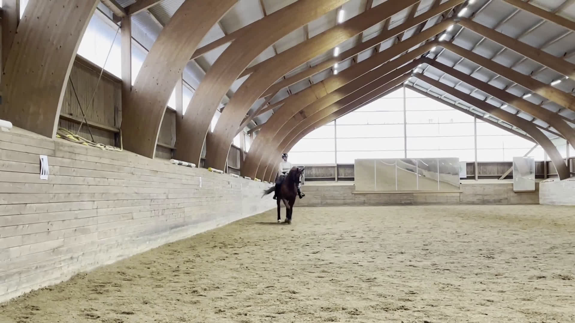 Dressyr hästar till salu: Fantastisk läromästare i Västerås - Video 2