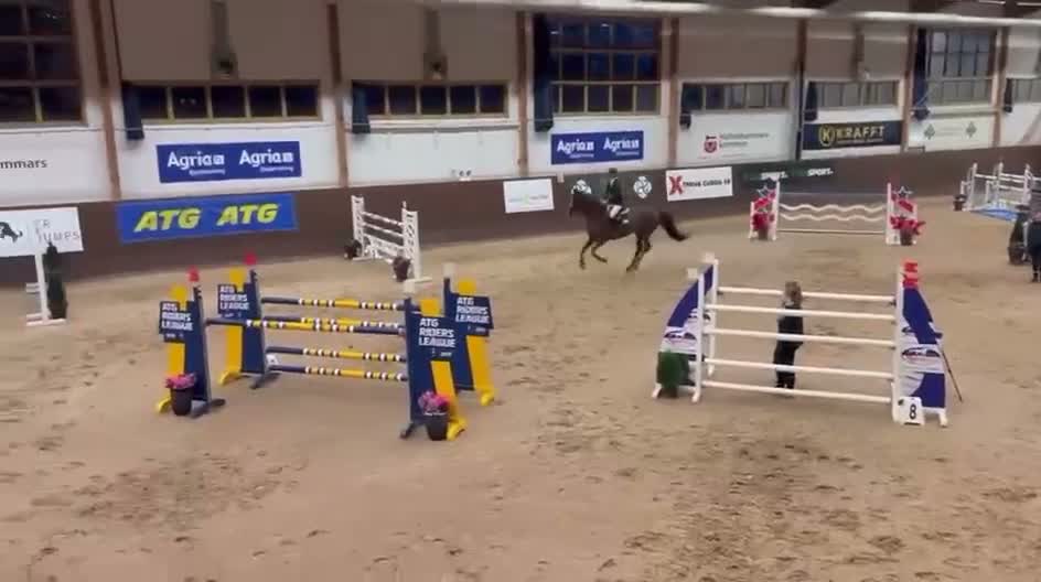 Hoppning hästar till salu: Snäll junior/yr häst med 150 rutin - Video 1