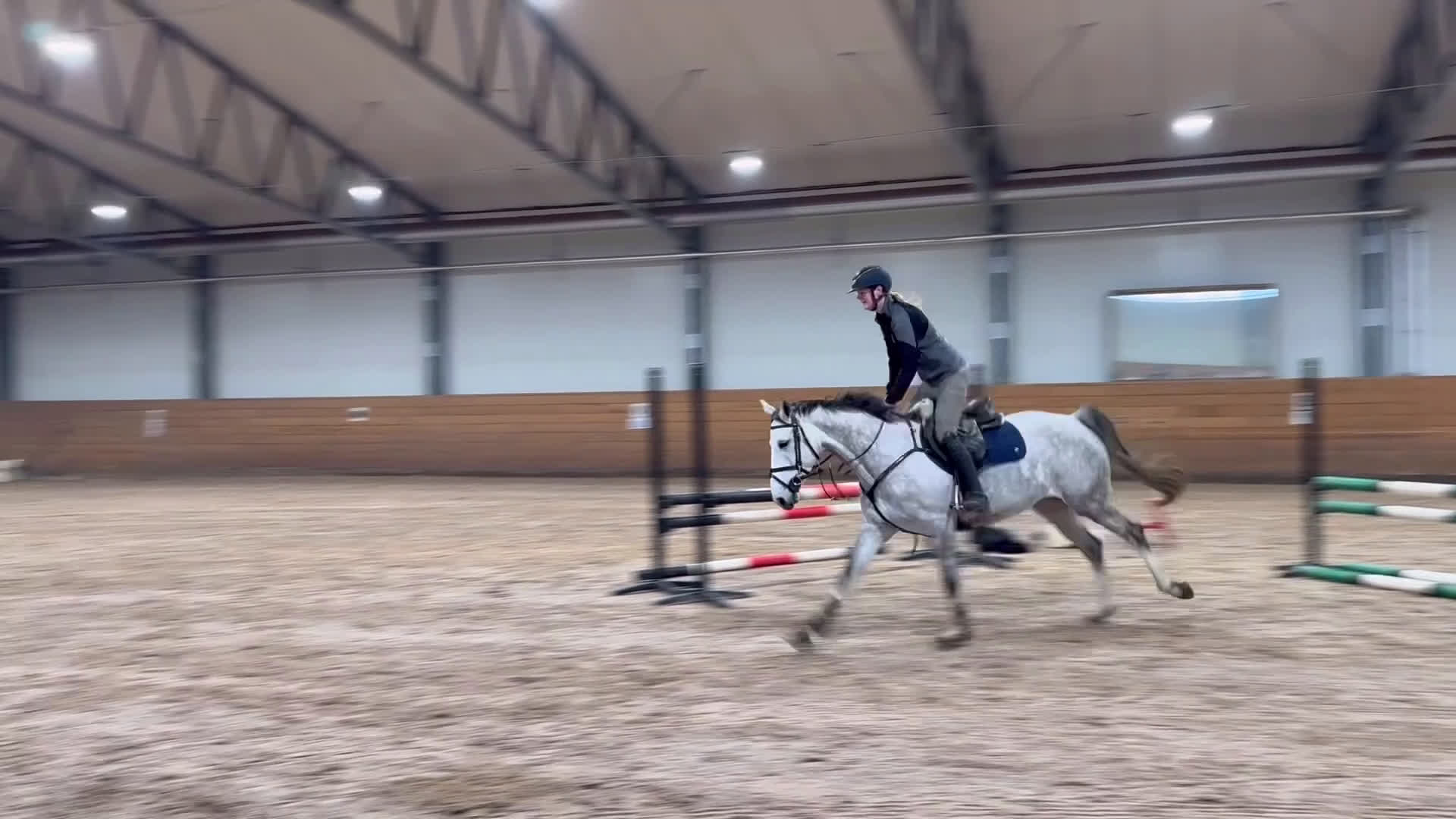 Hoppning hästar till salu: Trevligt sto i Åtvidaberg - Video 2